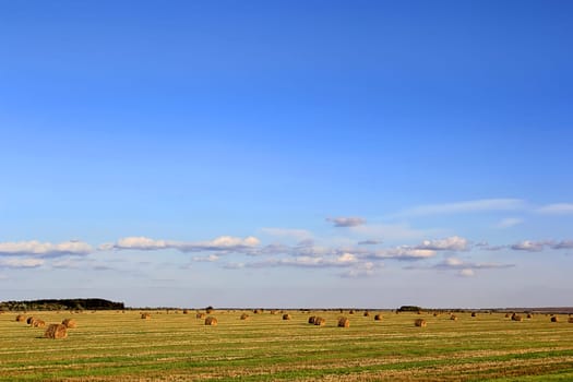Summer landscape with hay, field and blue sky
