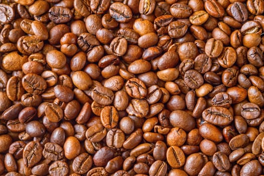 Close up of the roasted coffee beans