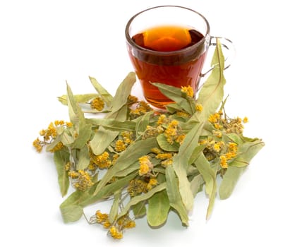 mug of lime tea and nearby the laid lime flowers, a subject improving drinks