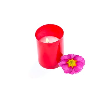 the burning red candle and pink flower, isolate, subject holidays