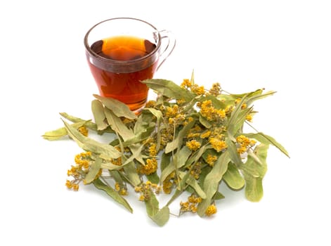 transparent mug of lime tea, and nearby linden flowers, a subject medicinal drinks for health