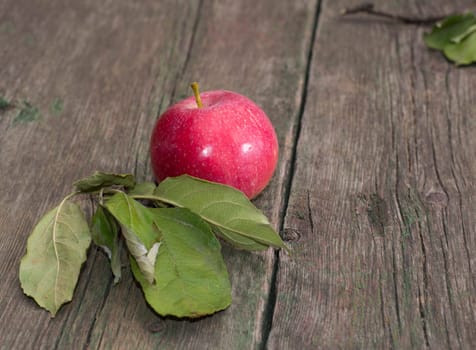 still life the red apple decorated with leaves on a table, a subject fruit