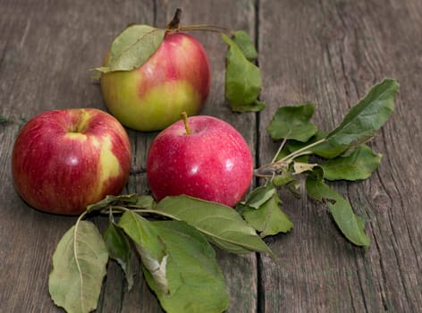 three apples with leaves on a wooden table, a still life on a subject fruit of fall