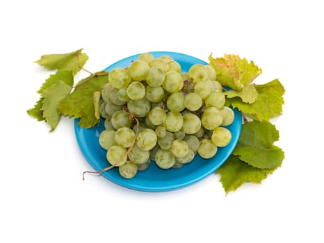 still life a plate with grapes on the isolated background, a subject fruit of fall