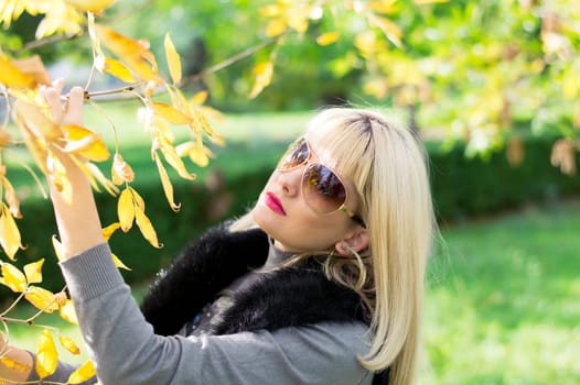 fall, the woman at a branch with yellow leaves, a subject seasons, the nature and people