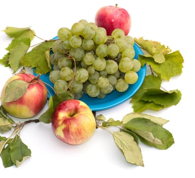 plate with grapes and a row apples, the isolated image, a subject fruit and berries