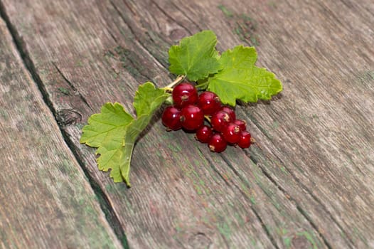 branch of red currant with leaves, on an old shabby table, a berry subject