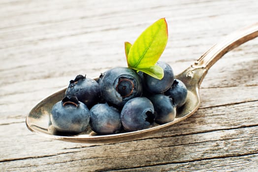 Juicy and fresh blueberries with green leaves on spoon close up