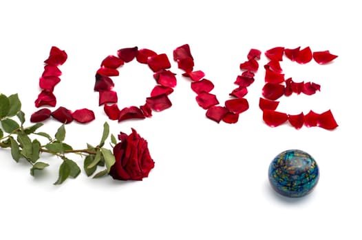 inscription love from petals of roses, and one rose at the left and on the right the globe, isolate, a subject abstraction from flowers