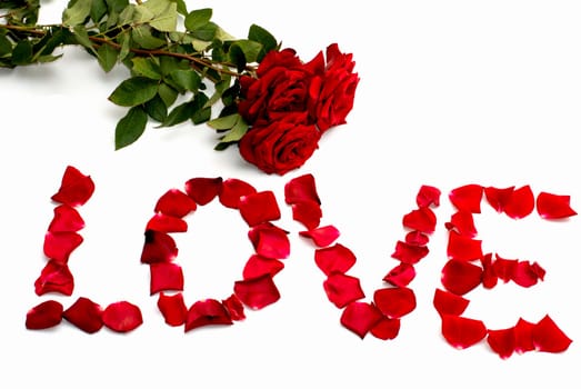 inscription love from petals of roses, and one rose, isolate, a subject flowers