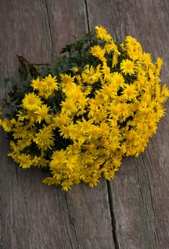 bouquet of yellow flowers lying on an old wooden table, a subject flowers