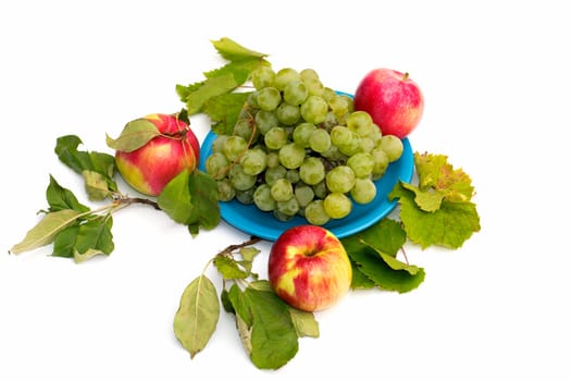 grapes on a plate and three apples around, isolate, a subject fruit of fall