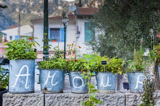 love letters written on flower vases in french