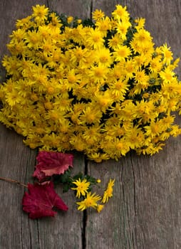 bouquet of beautiful yellow flowers and red leaf, still life on a subject flowers and fall
