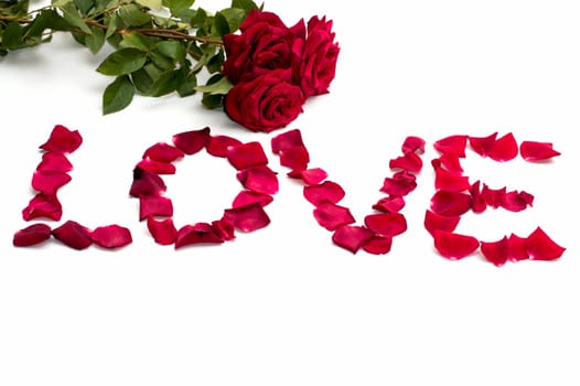 abstraction, inscription love from petals of roses and a bouquet of roses, a subject flowers