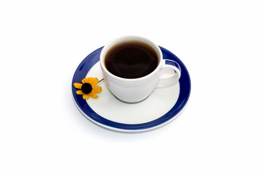 cup of coffee on a saucer with a blue border and a floret, isolate, a subject drinks