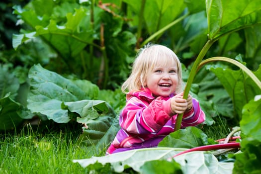 Little girl sitting in the Grass playing with rhubarb during this year's harvest