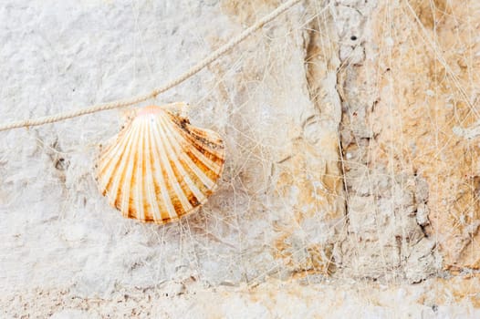 Fishing net with sea shells and copy space.