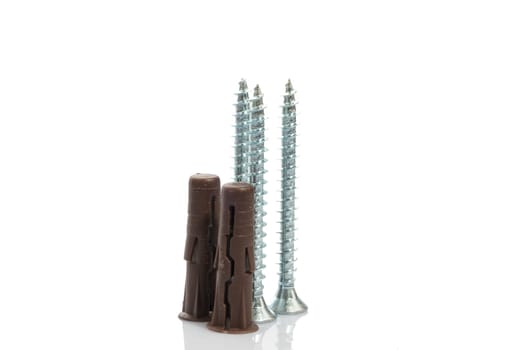three screw and two raw plugs on white background