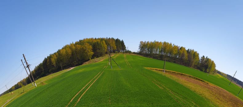 Landscape with blue sky, green field and forest on the horizon. Fish-eye effect.
