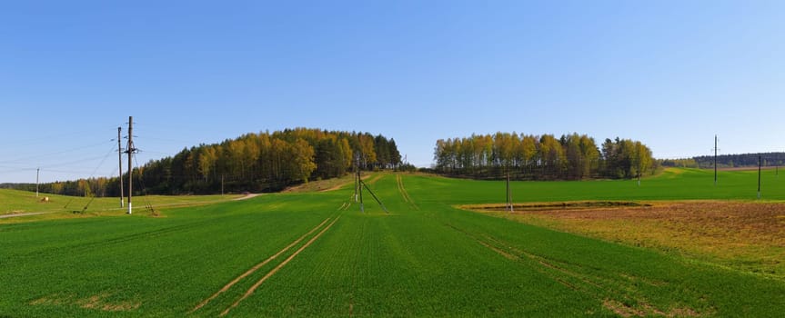 Panoramic summer landscape with blue sky, green field and forest.
