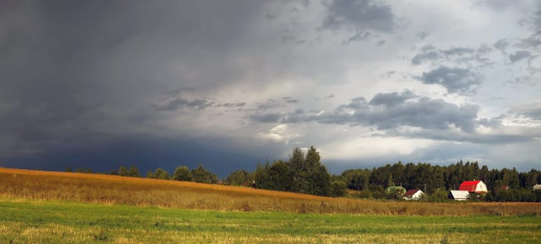 Rural landscape with a cloudy gray sky. Meadow with grass in the foreground. Rural houses and woods in the background.