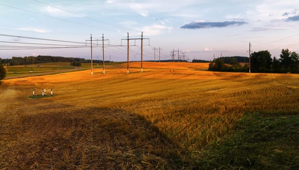 Field after harvest. Rural landscape at sunset. Panoramic shot.