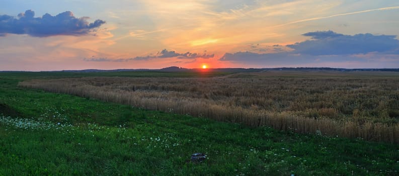 Rural landscape. Panoramic shot of a wheat field at sunset.