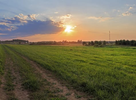 The road through the meadow with green grass. Sunset in the countryside.