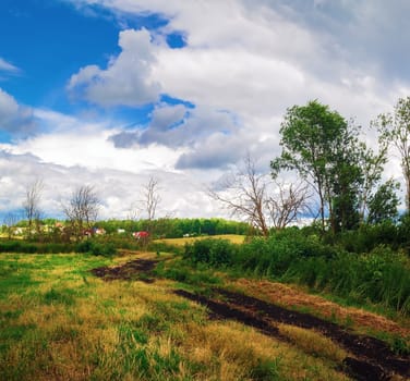 End of the summer. Rural landscape with dirt road, dry trees and lush vegetation.