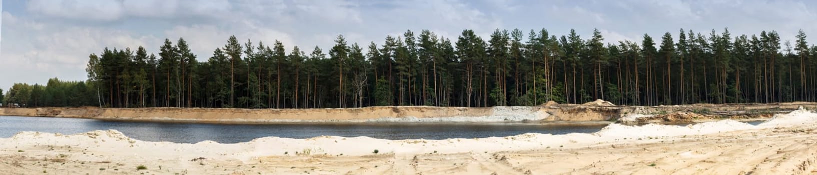 Panoramic landscape with pine forest and lake.