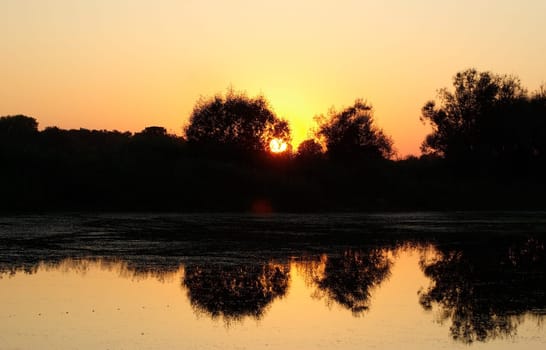 Golden warm tranquil sunset over the lake. Silhouettes of trees against the backdrop of the setting sun and a cloudless sky. The reflection in the calm water.