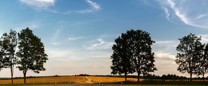 Panoramic rural landscape with silhouettes of trees against the blue sky.