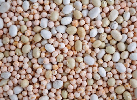Peas and haricot. Mixed dried beans top view. Abstract background texture.