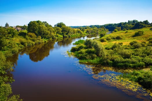 River with thickets of trees and shrubs along the banks. Bright sunny summer day. Surface of the water with the reflection of blue sky. Rural landscape.