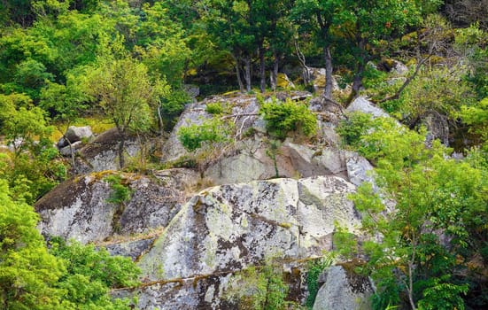 Close-up of a picturesque rock slope with trees and green foliage.