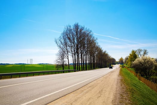 Asphalt road in the countryside on a sunny summer day. The trees on the roadside.