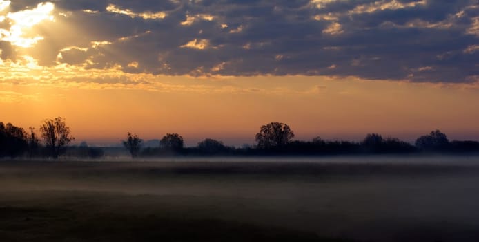 Colorful sunrise in the countryside. Foggy early morning. Twilight silhouette of trees in the background and a cloudy sky.