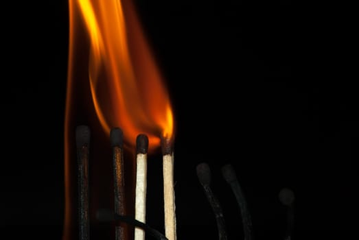 Burning match on a black background. Build a fire.