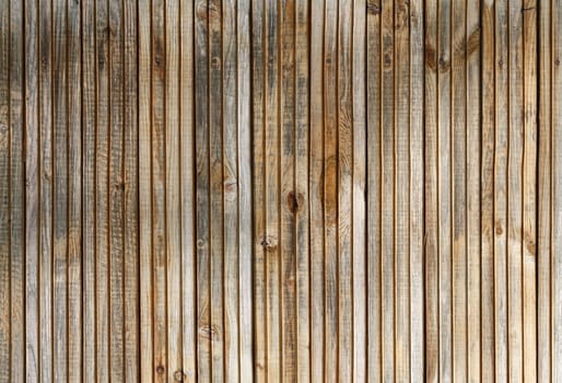 Old wood plank texture. Weathered wooden background with knots.