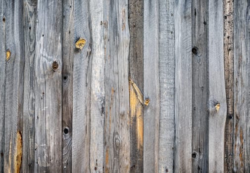 Wooden plank texture background. Old wood surface. Front view.
