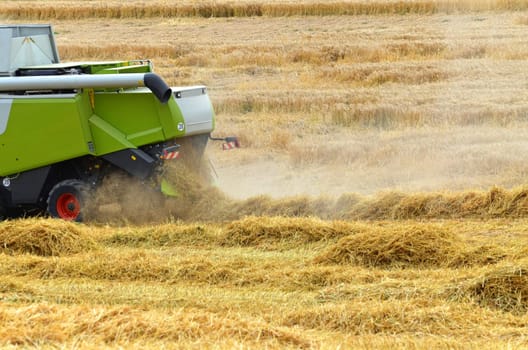 Grain harvest