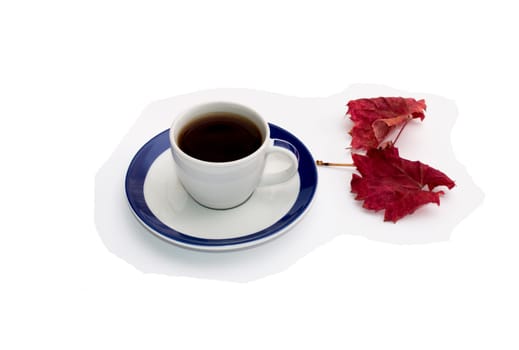 cup of coffee and beautiful autumn leaf, isolate, subject flowers and drinks