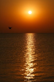 Sunrise over the sea. Sun reflection in sea.