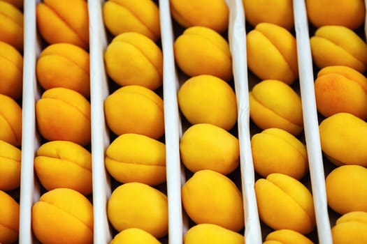 Apricots as background. Fresh apricots are laid in special packaging for transportation and sale. Shallow depth of field. Selective focus.
