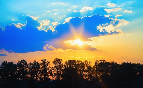 Sunset in the countryside. Bright sun and picturesque sky. Silhouettes of trees against the sky.