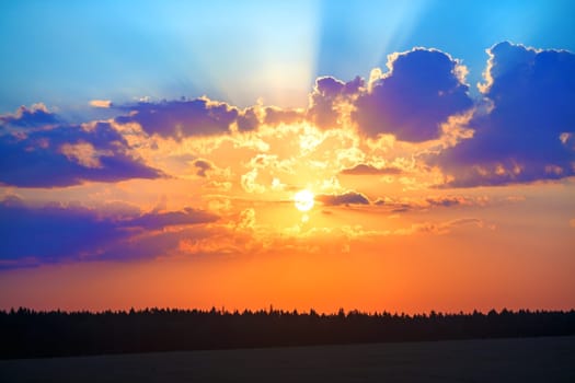 A beautiful golden sunset over the forest. Colorful scenic sky with clouds and bright sun.