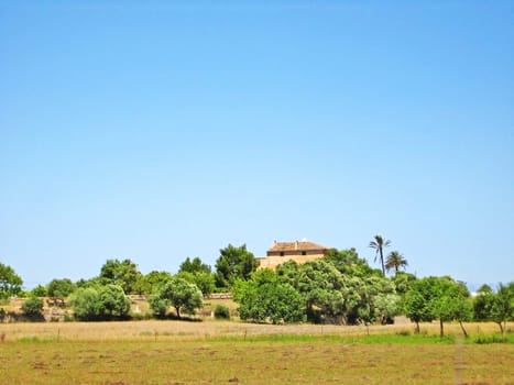 Hinterlands of Majorca - farm finca with trees an meadow