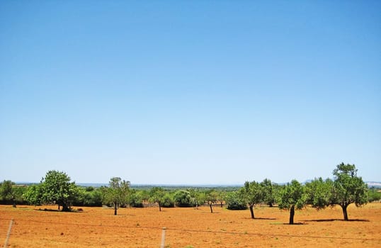 Somewhere in the hinterlands of Majorca - steppe with green trees in foreground