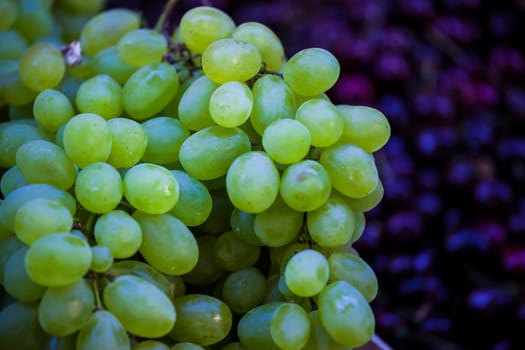 Green grapes background at french market in summertime